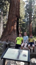 01AOUT2018 : SEQUOIA